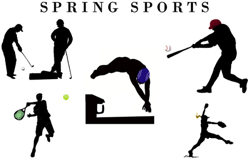 Spring sports picture